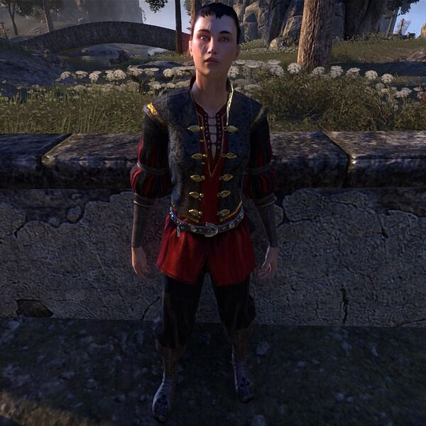 Sanguine in mortal guise