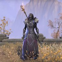 Werewolf Lord