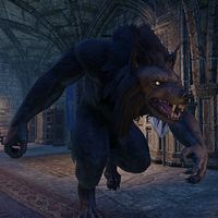 Werewolf Behemoth